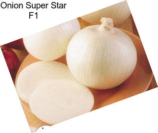 Onion Super Star F1