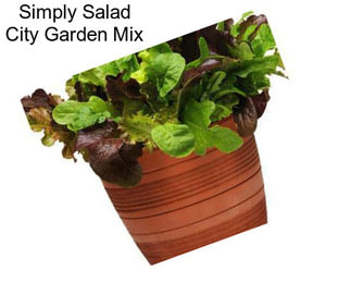 Simply Salad City Garden Mix