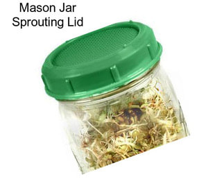 Mason Jar Sprouting Lid