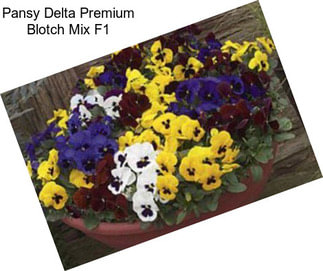 Pansy Delta Premium Blotch Mix F1