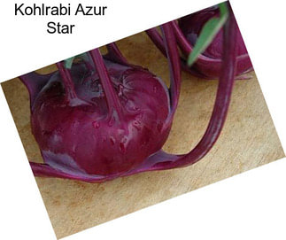 Kohlrabi Azur Star