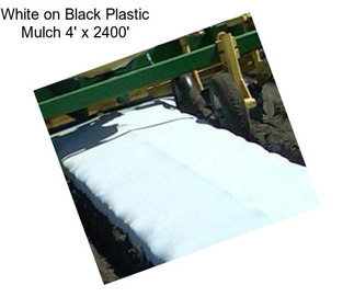 White on Black Plastic Mulch 4\' x 2400\'