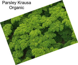 Parsley Krausa Organic