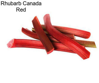 Rhubarb Canada Red