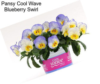 Pansy Cool Wave Blueberry Swirl