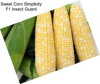 Sweet Corn Simplicity F1 Insect Guard