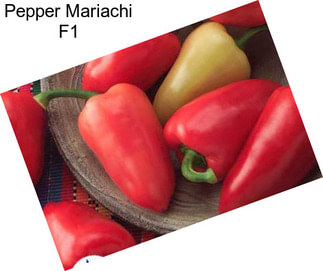 Pepper Mariachi F1