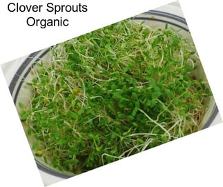 Clover Sprouts Organic