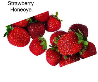 Strawberry Honeoye