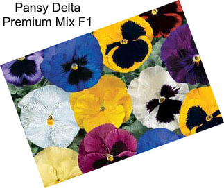 Pansy Delta Premium Mix F1