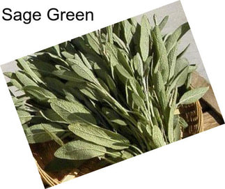 Sage Green