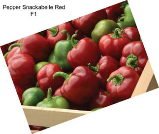 Pepper Snackabelle Red F1