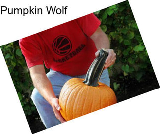 Pumpkin Wolf