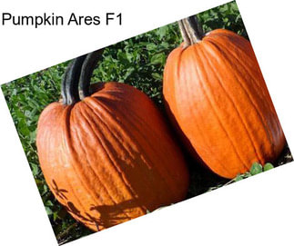 Pumpkin Ares F1