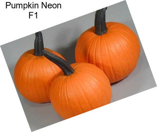 Pumpkin Neon F1