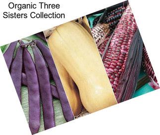 Organic Three Sisters Collection