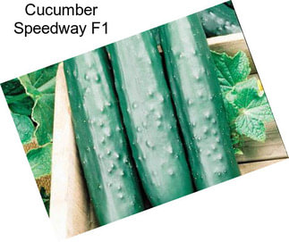 Cucumber Speedway F1