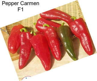 Pepper Carmen F1