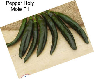 Pepper Holy Mole F1