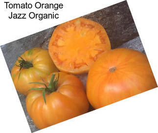 Tomato Orange Jazz Organic