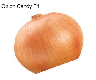 Onion Candy F1