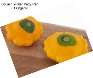 Squash Y-Star Patty Pan F1 Organic