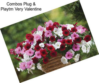 Combos Plug & Playtm Very Valentine