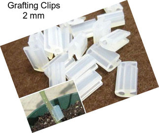 Grafting Clips 2 mm