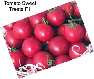 Tomato Sweet Treats F1