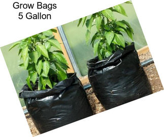 Grow Bags 5 Gallon