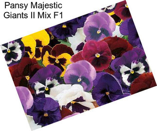 Pansy Majestic Giants II Mix F1