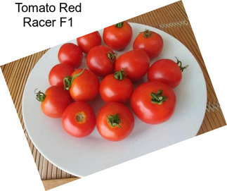 Tomato Red Racer F1