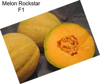 Melon Rockstar F1