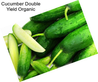 Cucumber Double Yield Organic