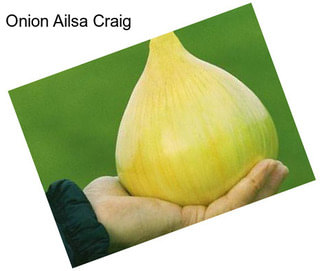 Onion Ailsa Craig