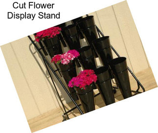 Cut Flower Display Stand
