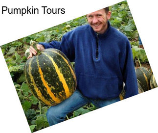 Pumpkin Tours