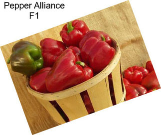 Pepper Alliance F1