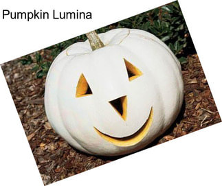 Pumpkin Lumina