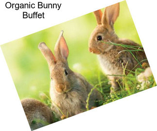 Organic Bunny Buffet