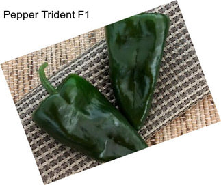 Pepper Trident F1