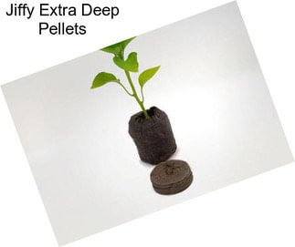 Jiffy Extra Deep Pellets