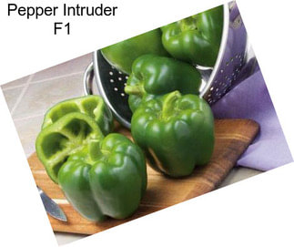 Pepper Intruder F1