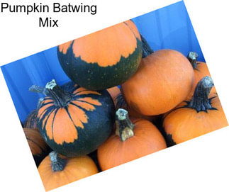 Pumpkin Batwing Mix
