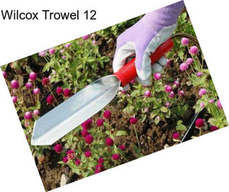 Wilcox Trowel 12\