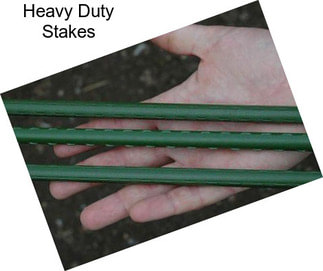 Heavy Duty Stakes