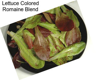 Lettuce Colored Romaine Blend
