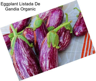 Eggplant Listada De Gandia Organic