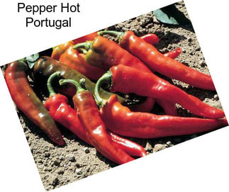 Pepper Hot Portugal