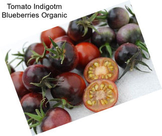 Tomato Indigotm Blueberries Organic